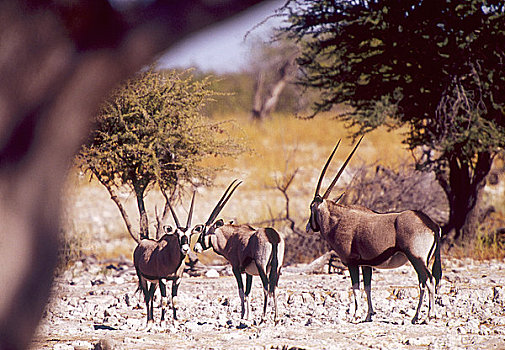 xsmb thu 2 du doan