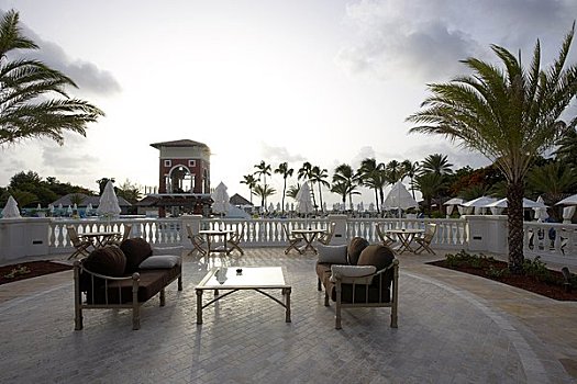 gà đá chợ tốt cần thơ