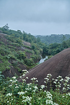 thống kê bạch thủ