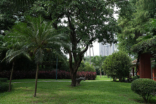 dự đoán xsmb 2888