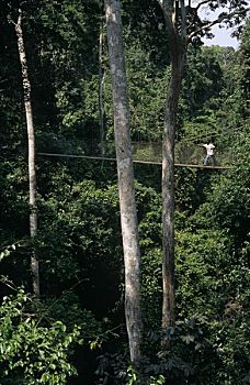 chơi đề trực tuyến