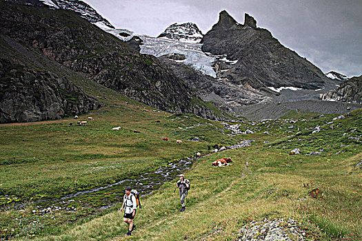 soi cau du doan xo so 3 mien