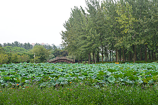 xsmb soi cầu