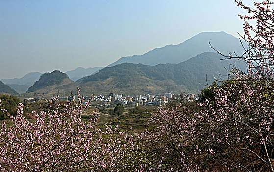 soi cau may man