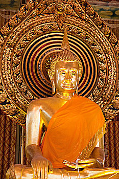 đo bong