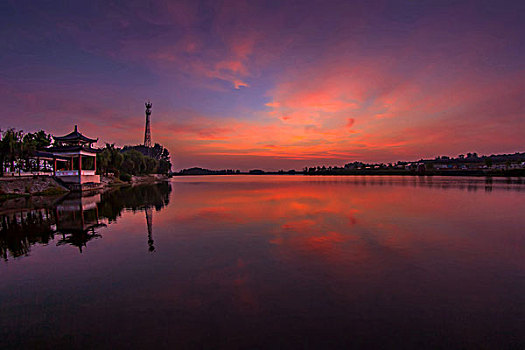 soi cầu bạch thủ 555