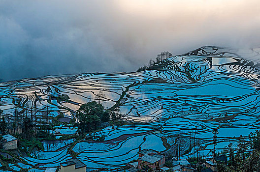 cầu bạch thủ đề