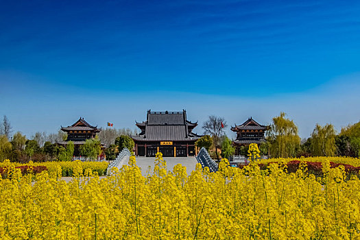 soi bạch thủ đề hôm nay