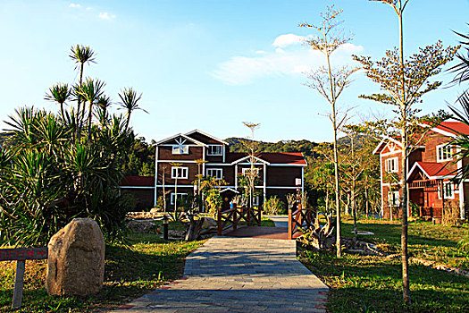 bạch thủ đề vip