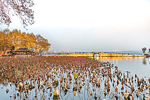 diễn đàn xsmb