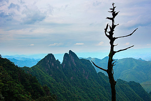 bach thu de mien bac hom nay
