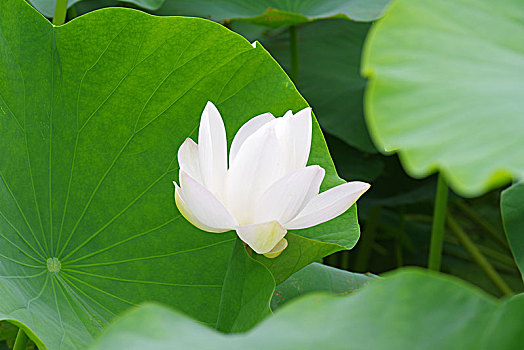xổ số đà nẵng hôm nay