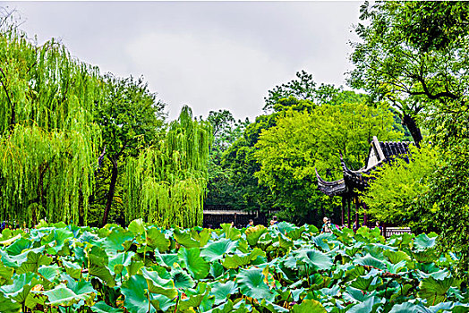 soi cau chuan 888