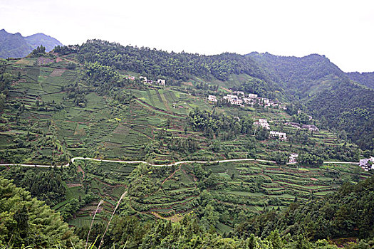 cach danh lo mien nam
