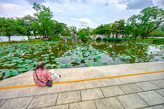 soi cau doan so 135