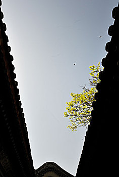 soi cầu vietlott