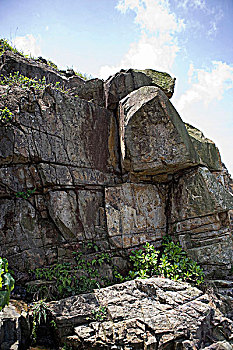 soi cau 2 nhay rong bach kim