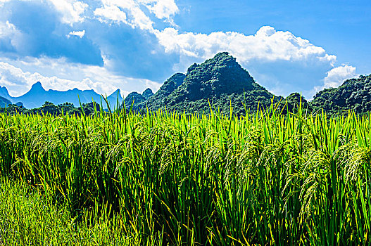 phần mềm dự đoán lô đề