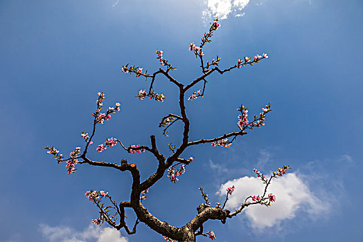 dự đoán trúng thưởng miền bắc