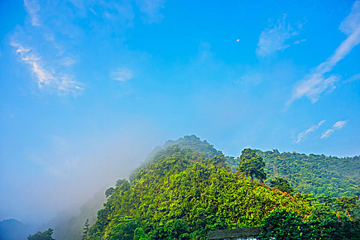 soi cau rong bach kim mien phi chinh xac
