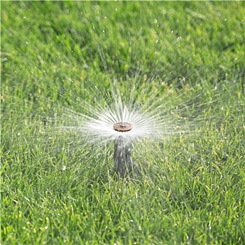 xổ số miền bắc hàng ngày