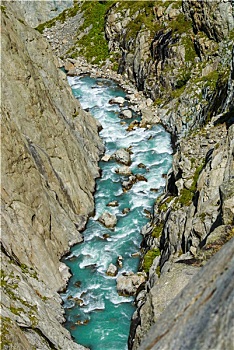 rong bach kim du doan xo so mien bac