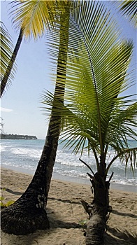 kêt qua