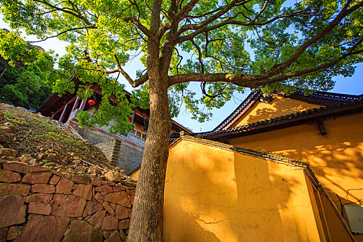 lô kép khung 5 ngày