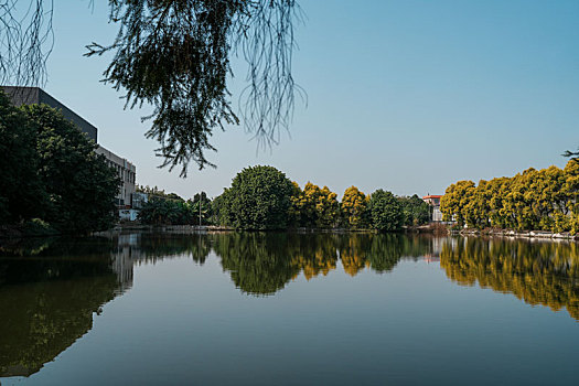 thống kê giải đặc biệt