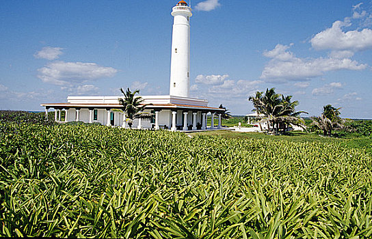 xsgl minh ngọc