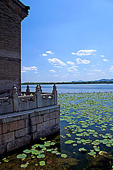 số xo