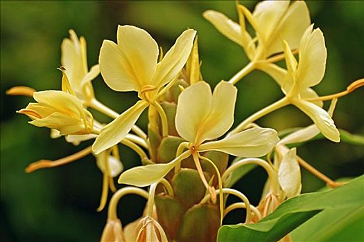 xsmn kết quả xổ số miền nam hôm nay