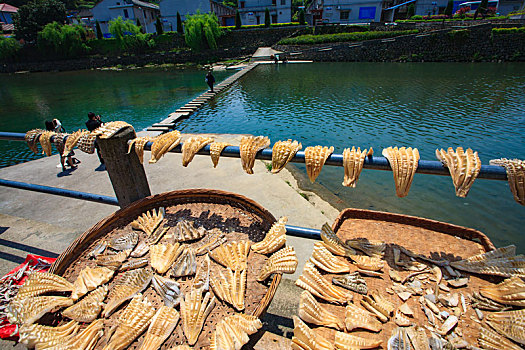 dàn đề miễn phí