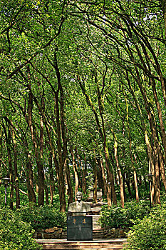soi cau loc phat tai