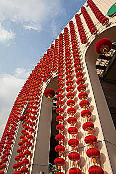 soi cau bạch thu xsmb