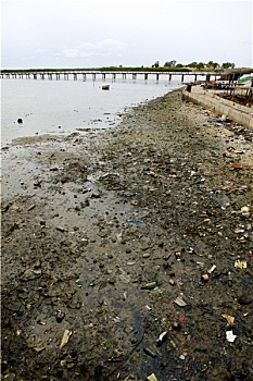 soi cầu ăn thông