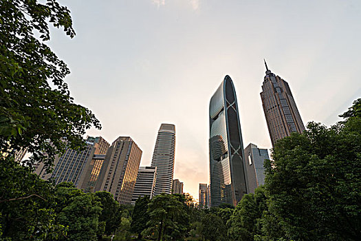 soi cau bach thu 8785