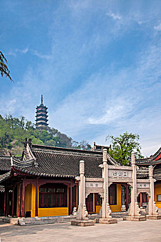 dự đoán bình định