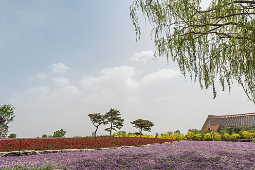 xs bến tre