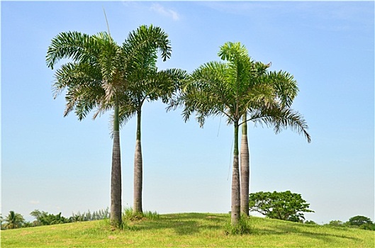 chốt lô miền bắc hôm nay