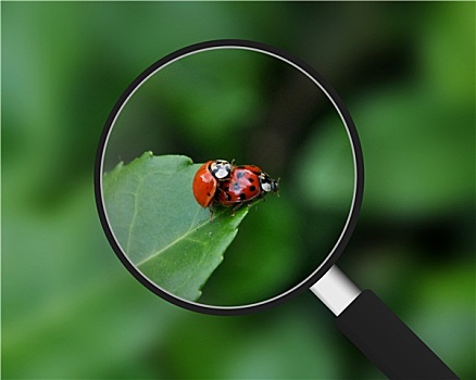 soi cầu dự đoán ba miền