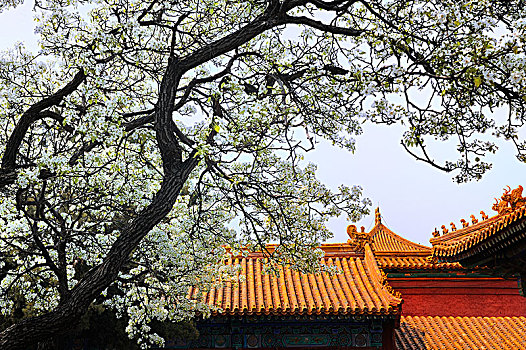 du doan xo so mien nam chinh xac