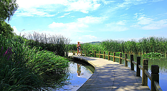 lô đẹp hôm nay miễn phí