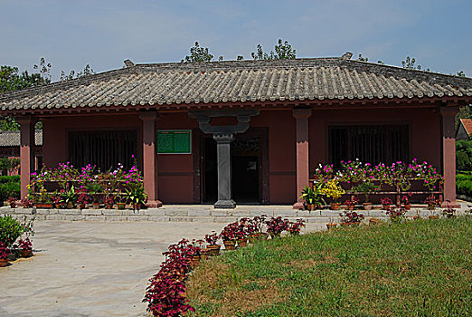 bachthu lo mien bac