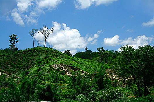 xo so soc trang hom nay