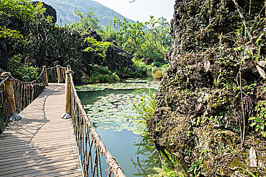 game đánh bài tặng xu