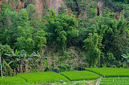 xô sô miên bắc